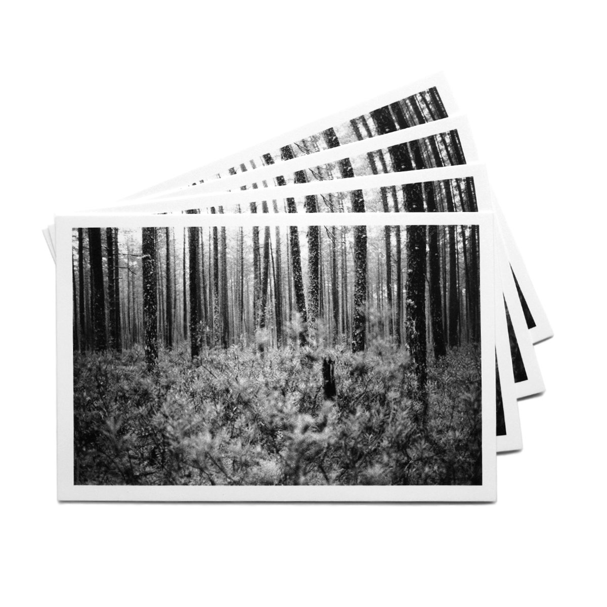 Открытка 'For.rest'