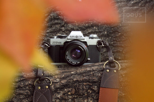 Фото - Minolta XG-M в FOQUS Minolta XG-M в FOQUS