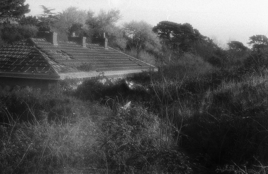 Washi Film "P" 120