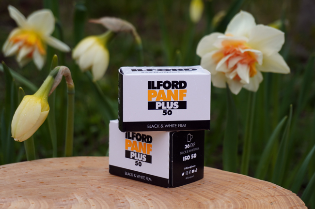 Фото - Черно-белая пленка с уникальной резкостью - Ilford Pan F Plus 50 Черно-белая пленка с уникальной резкостью - Ilford Pan F Plus 50