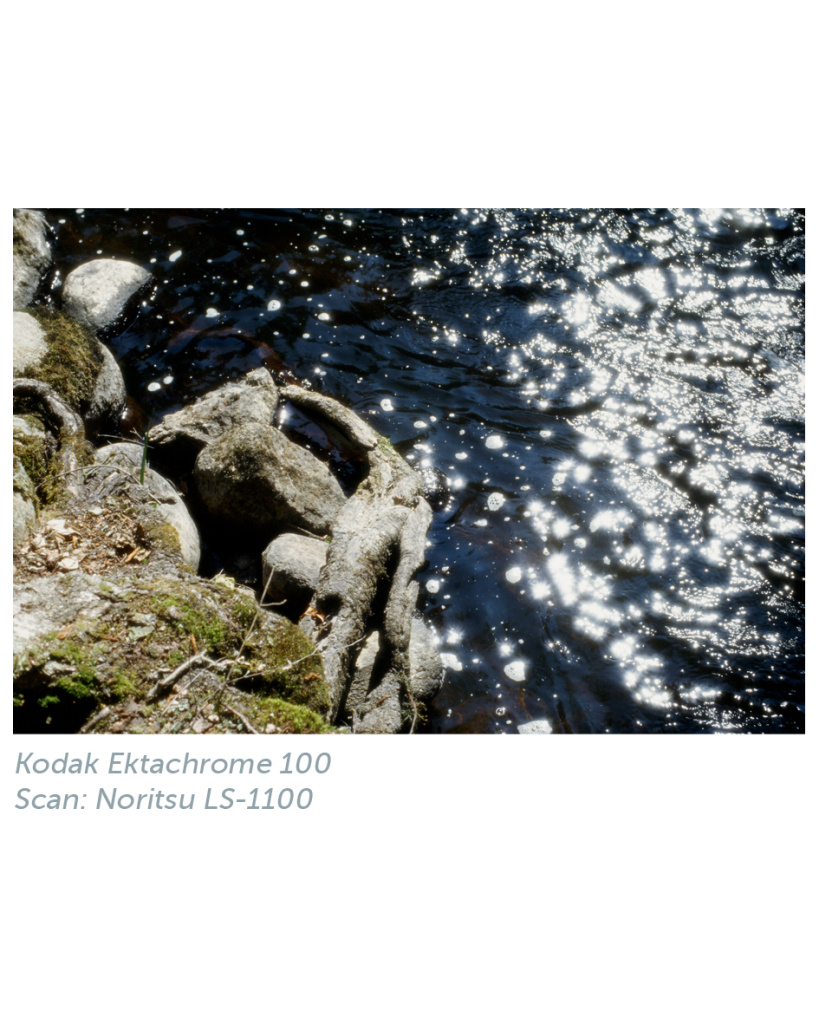 kodak_ektachrome_100_noritsu_2.jpg kodak_ektachrome_100_noritsu_2.jpg