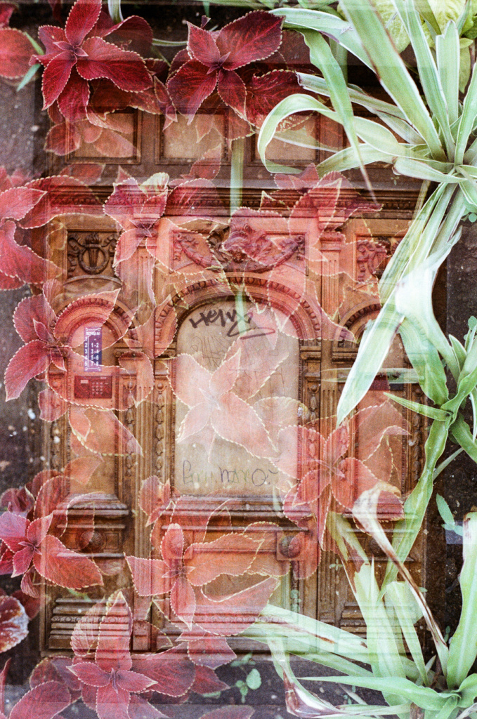 Иван Гайдук и Алтабаева Дарья (1).jpg