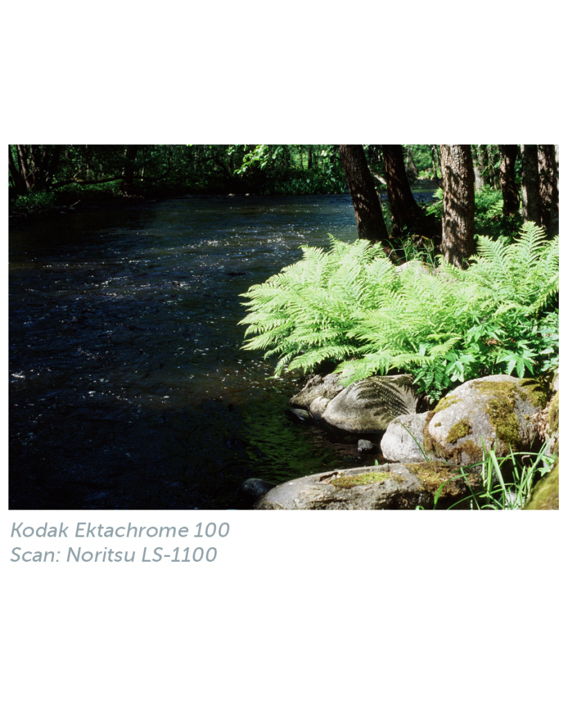 kodak_ektachrome_100_noritsu_1.jpg kodak_ektachrome_100_noritsu_1.jpg