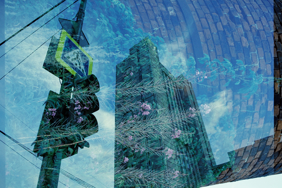 Затонская Ирина + Щукин Виктор (1).jpg