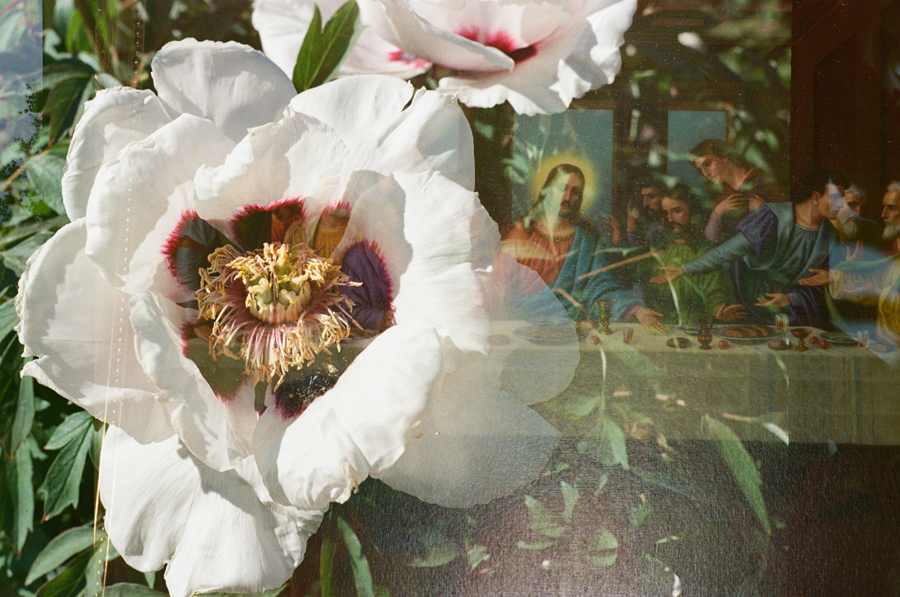 Хрисанов Дмитрий; Анна Трутнева (2).jpg