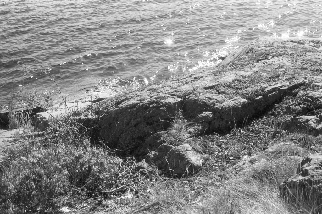 нажми, чтобы открыть изображение в большем размере fp4 nikon-111.jpg