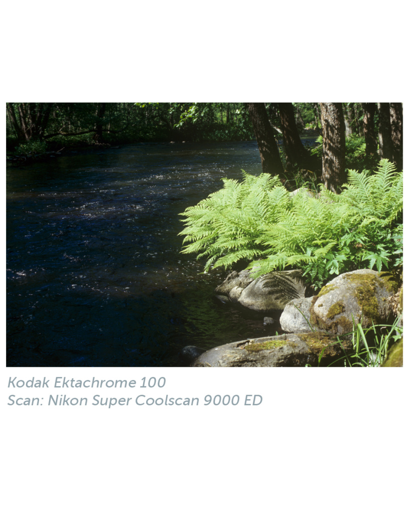 kodak_ektachrome_100_nikon_1.jpg kodak_ektachrome_100_nikon_1.jpg