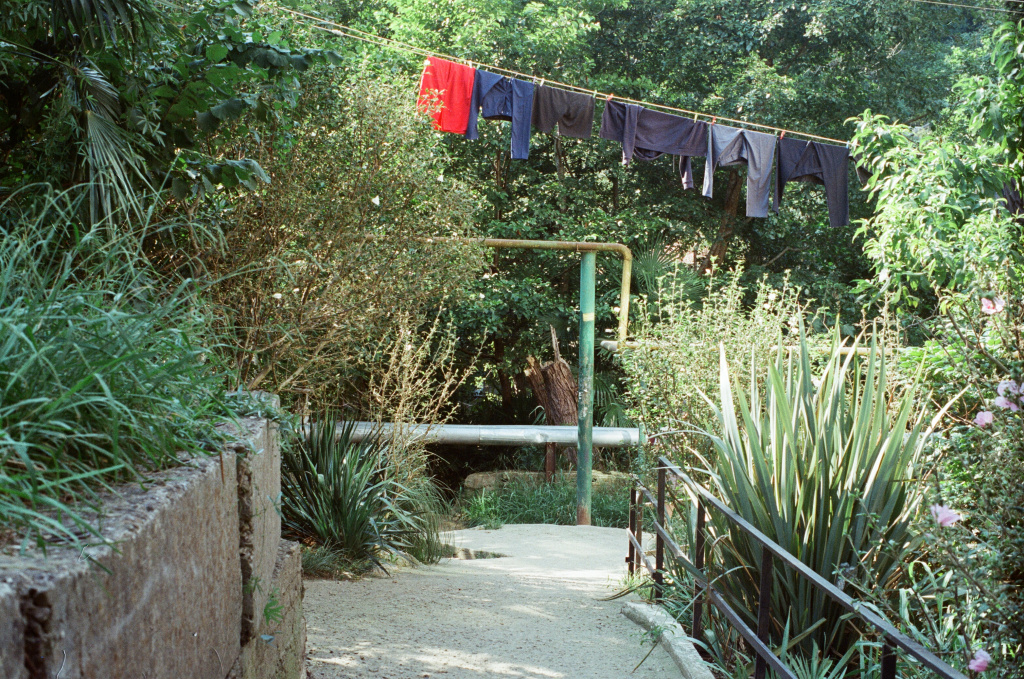 нажми, чтобы открыть изображение в большем размере 250d noritsu--.jpg