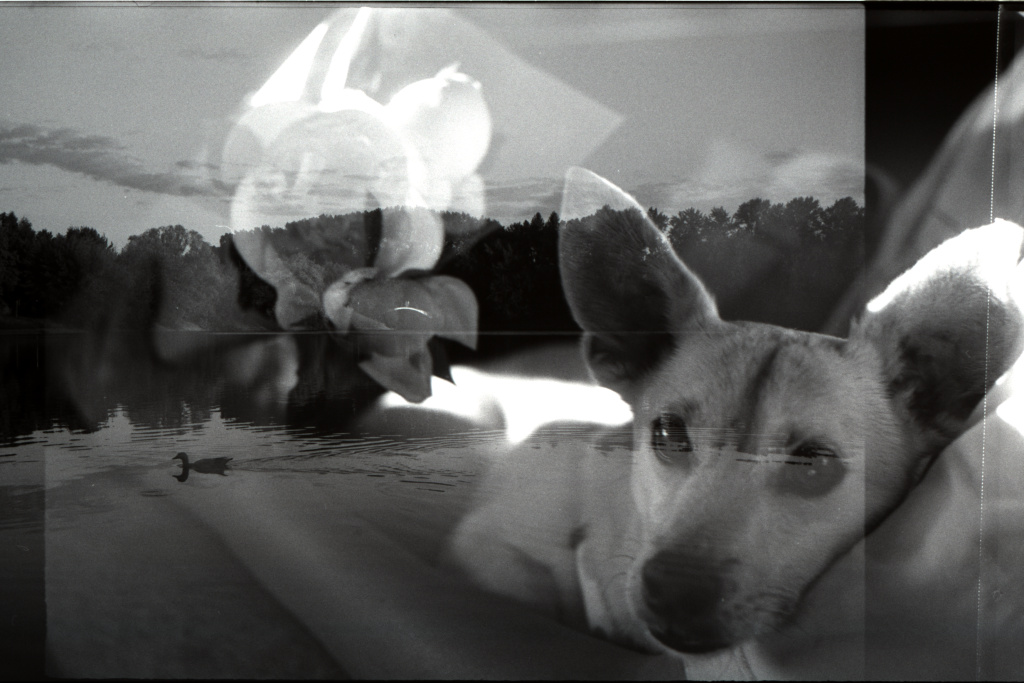 Антон Васильев + Анна Кручинина (2).jpg