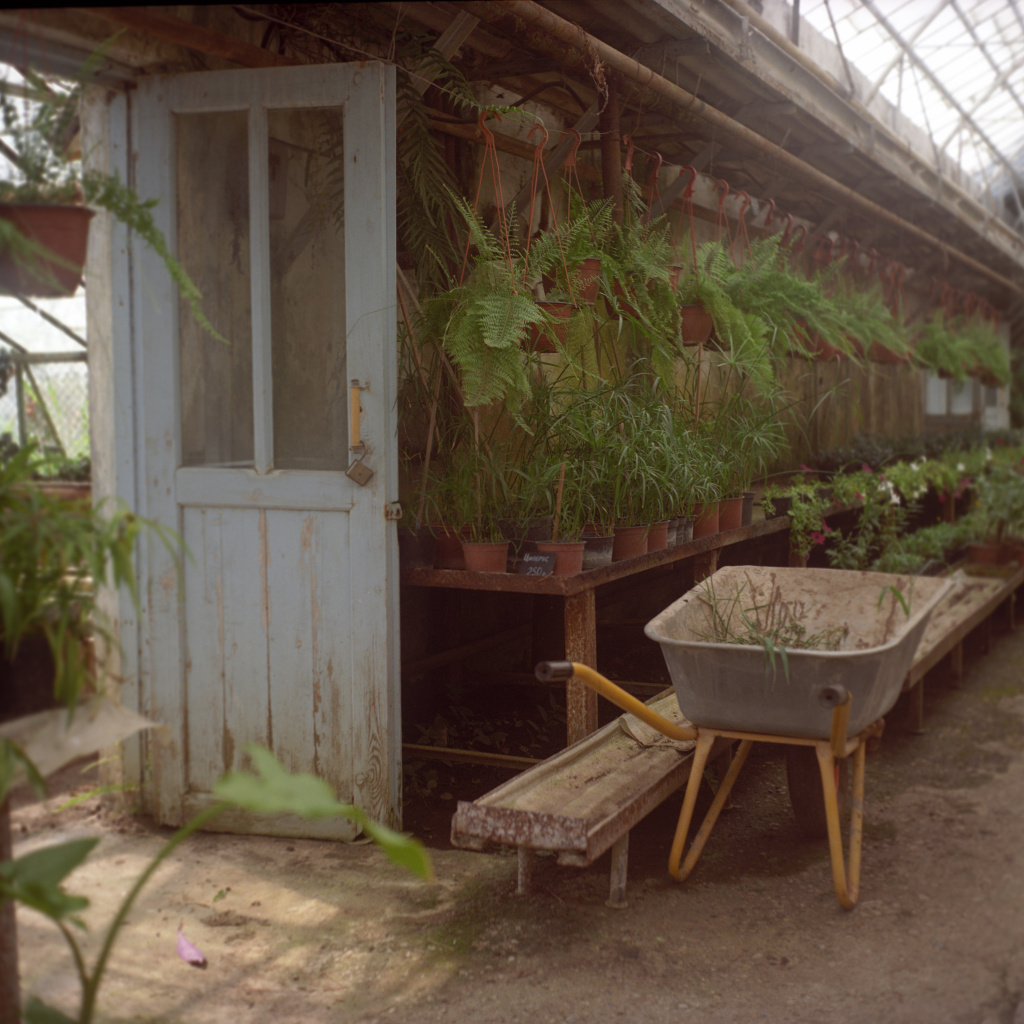 нажми, чтобы открыть изображение в большем размере с41 nikon-111.jpg