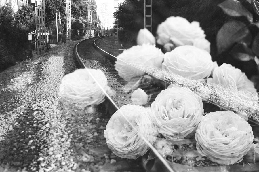 Рагимова Л. + Васильченко Р (2).jpg