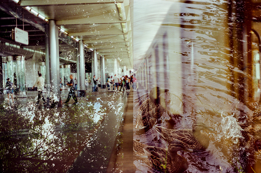 Дунин Максим + Литвиненко Николай (3).jpg