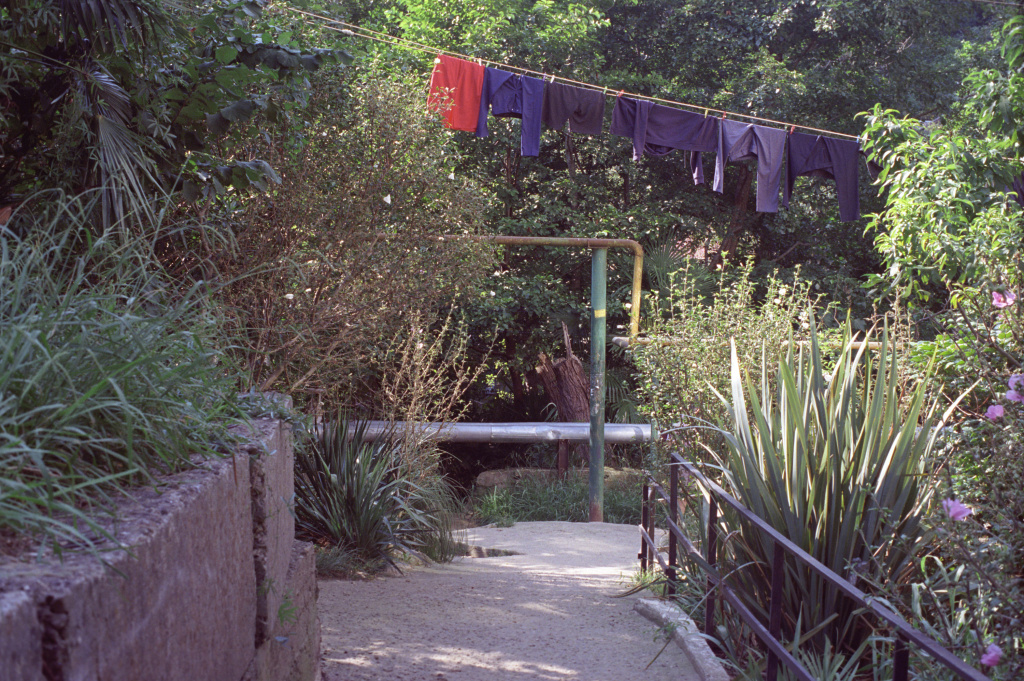 нажми, чтобы открыть изображение в большем размере 250d nikon jpg111.jpg