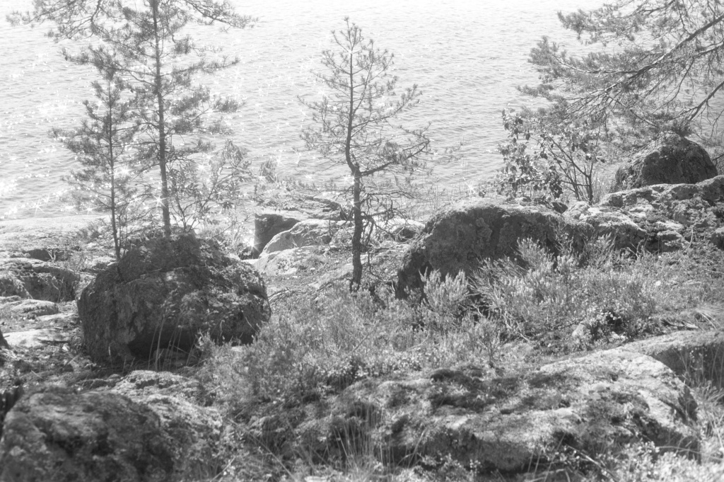 нажми, чтобы открыть изображение в большем размере fp4 nikon111.jpg